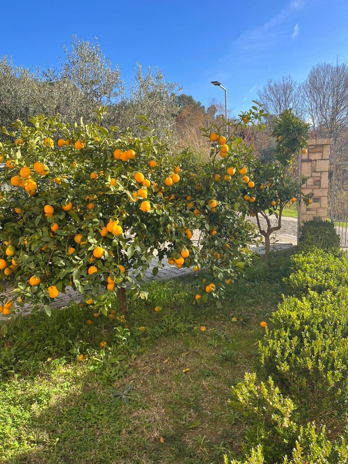 Villa Dei Limoni Škalngur Buitenkant foto