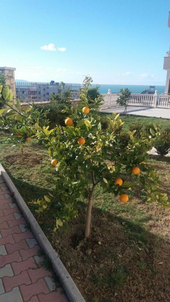 Villa Dei Limoni Škalngur Buitenkant foto